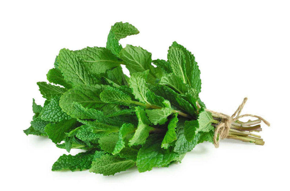 Fresh Pudina (Mint) Leaves