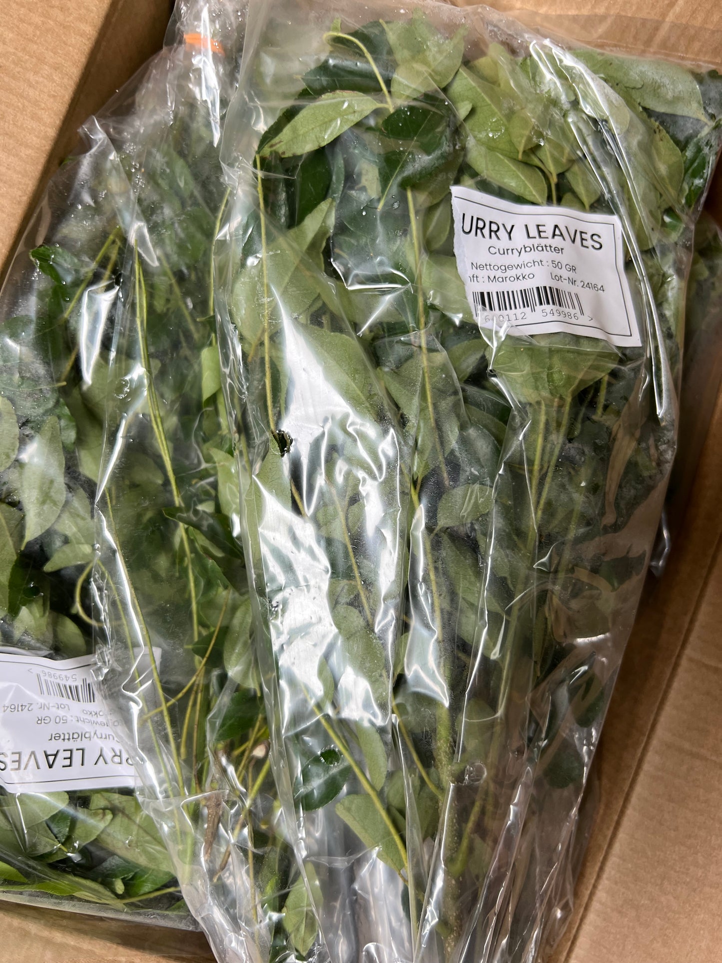 Kadi Patta / Curry Leaves (40g to 50g)