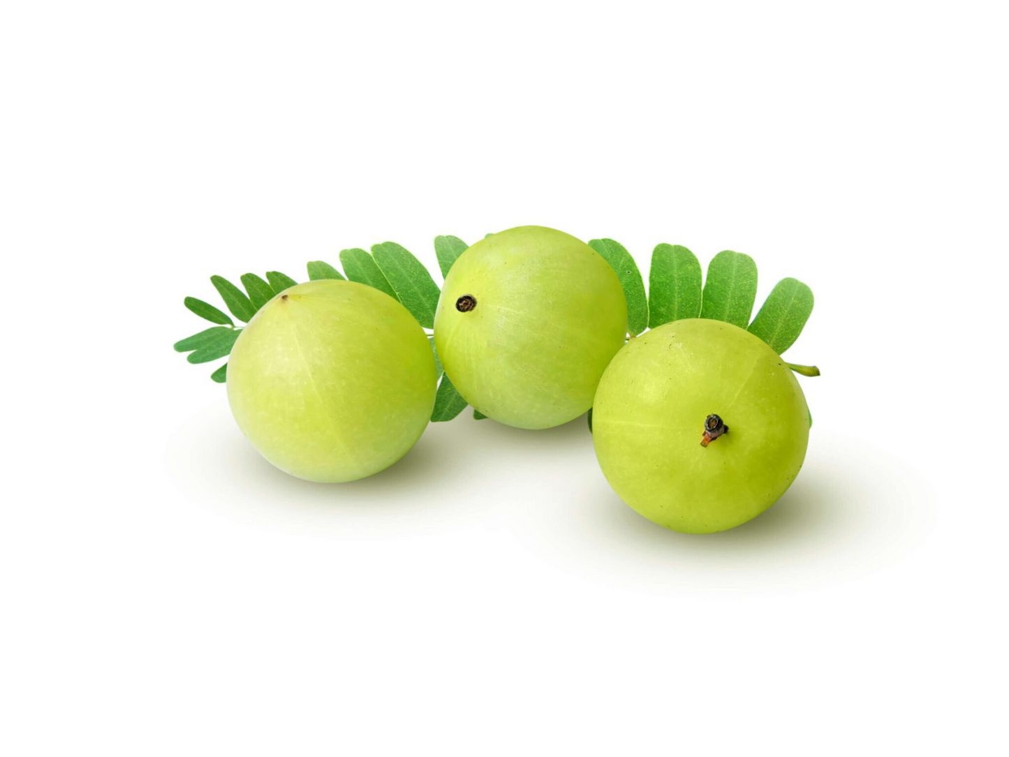 Amla / Gooseberry