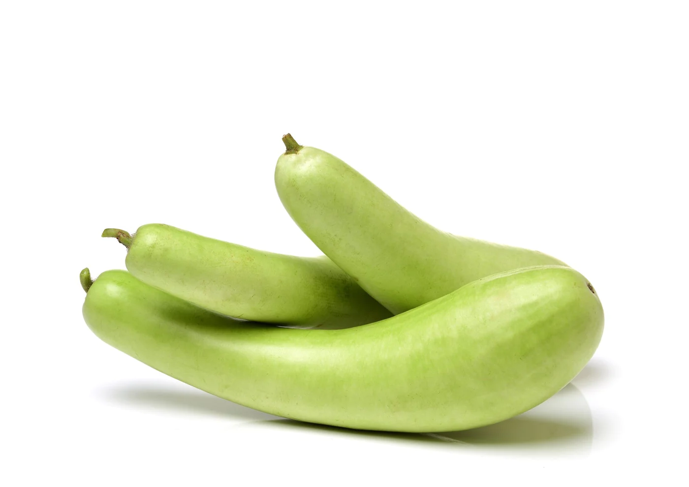 Lauki / Bottle Gourd / Sorakaya