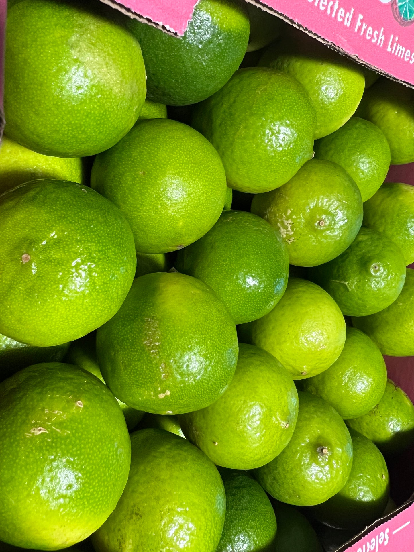 Green Lemon 5 stucks