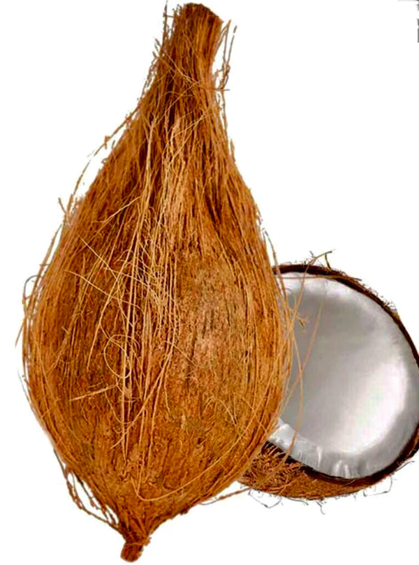 Pooja Coconut with husk