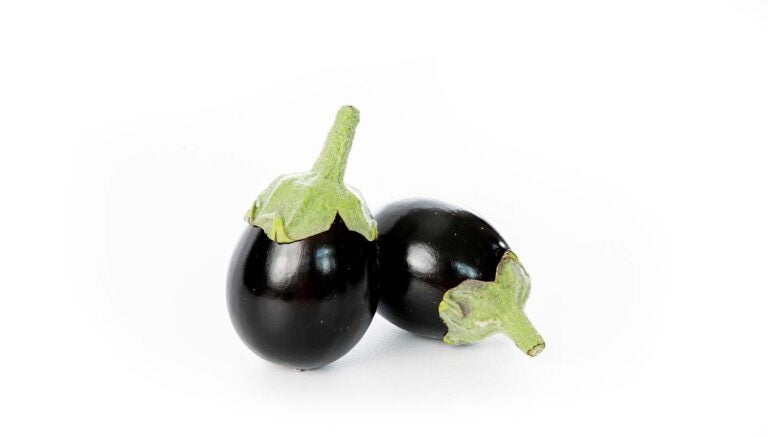 Baingan / Purple Brinjal