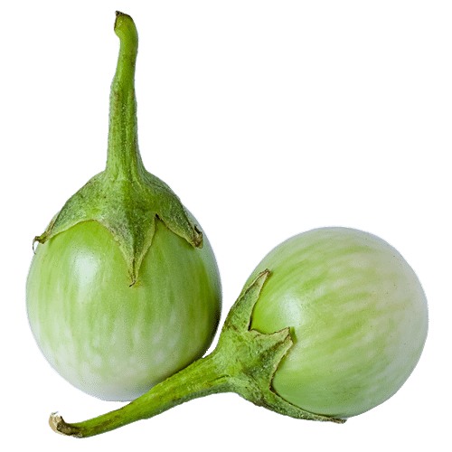 Green Brinjal / Eggplant / Aubergine