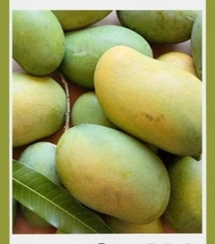 Rasalu Mangoes