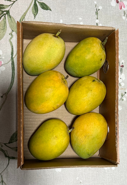 Alphonso Mangoes 1.5kg Box (6pcs)