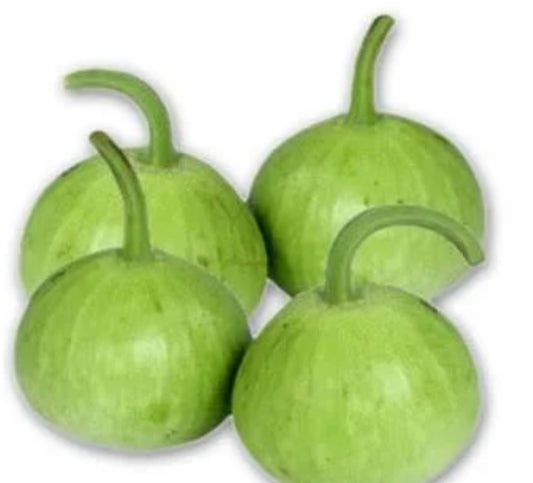 Gol Kaddu /  Round Bottle Gourd