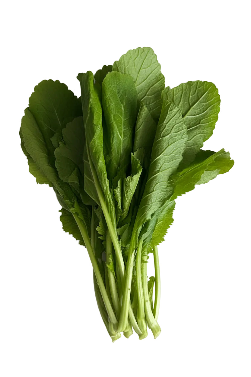 Fresh Mustard / Saag Leaves
