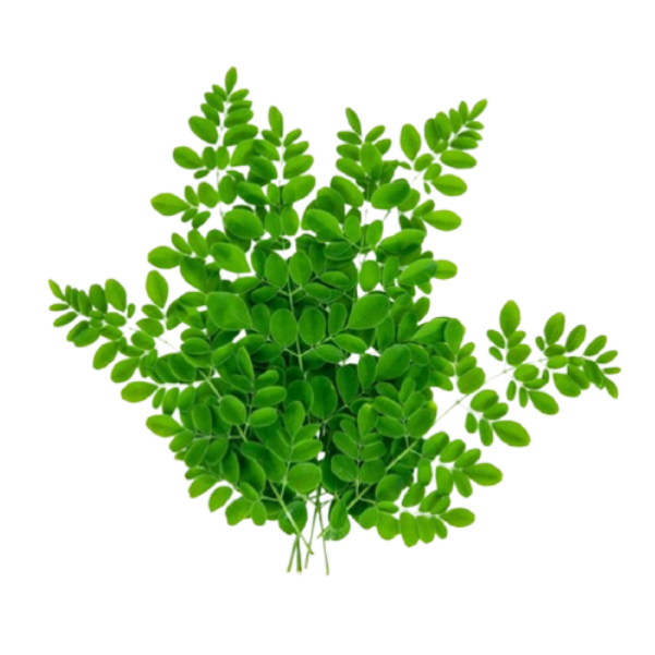 Moringa / Drumstick Leaves