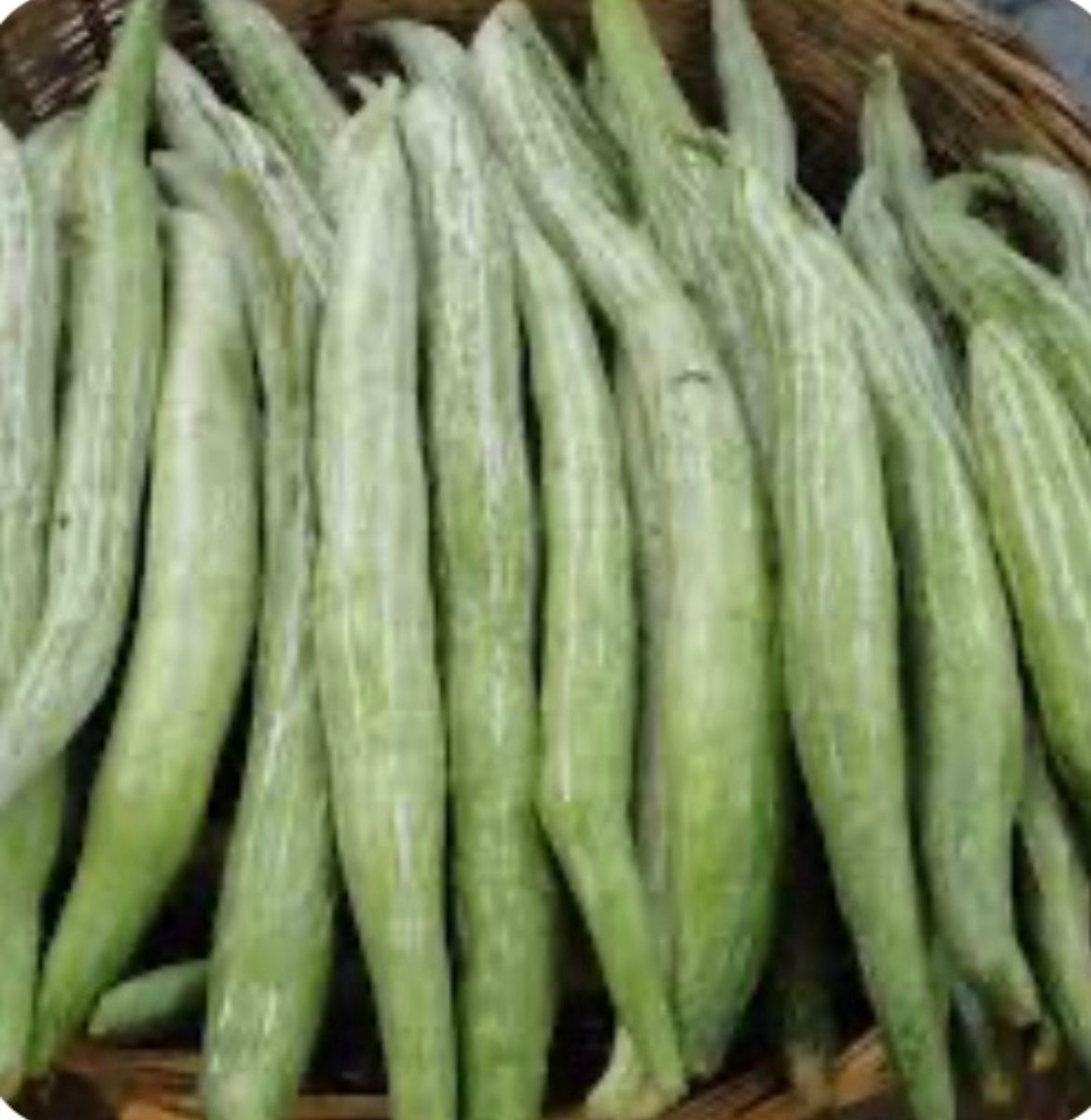 Snake Gourd