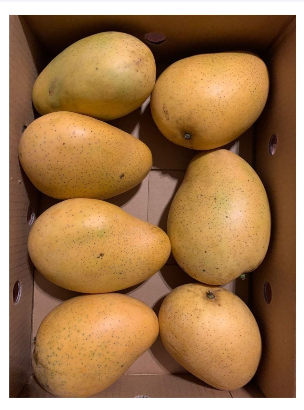 Banginapalli (Badami) Mangoes